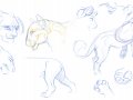 lion_drawings_by_hibbary.jpg